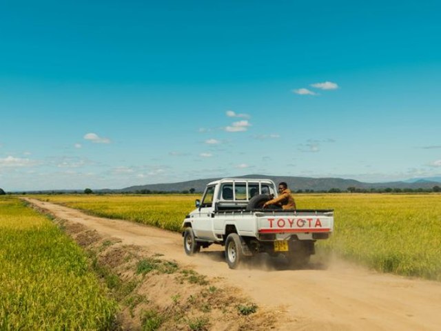 Selfdrive Tanzania